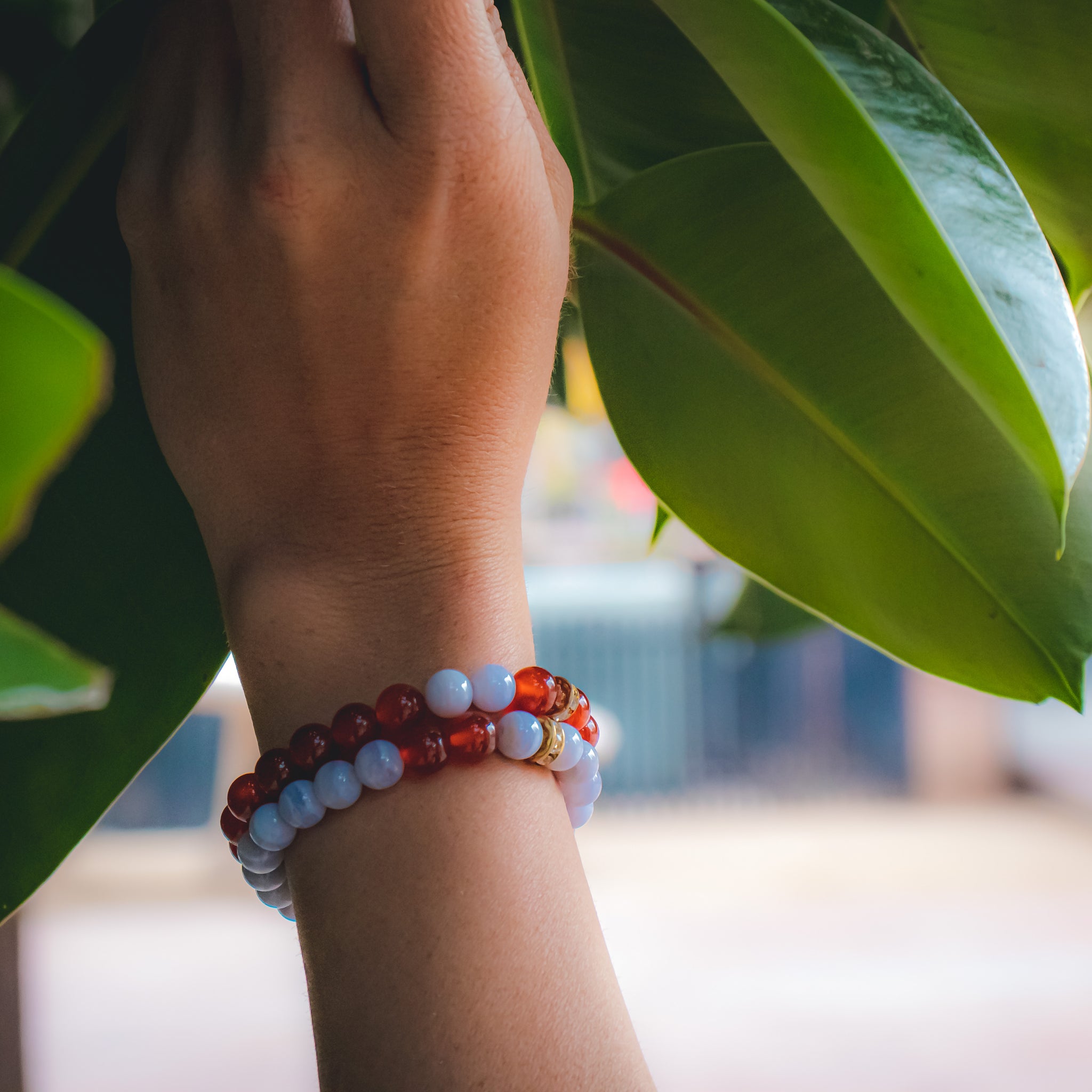 Blue Lace Agate | Carnelian